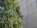 20150821_094916